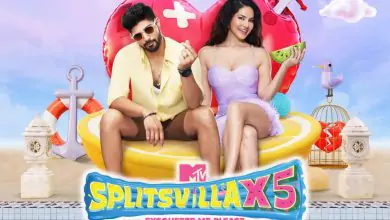 Mtv Splitsvilla X5