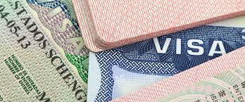 What are the visa and entry requirements for [country]?